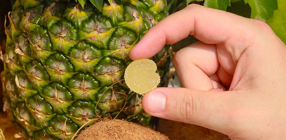 DripCees THC Gummy Pineapple Coconut