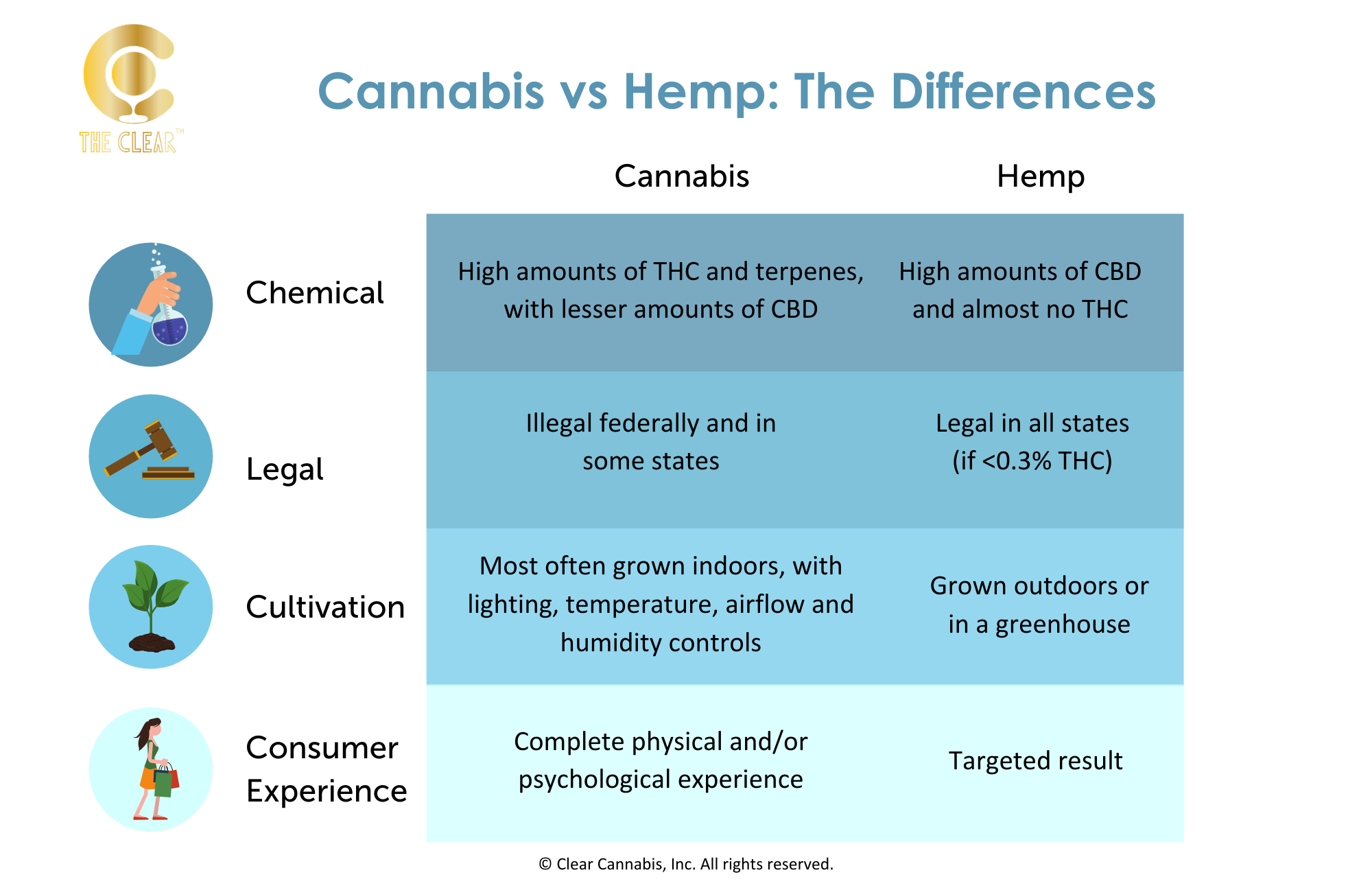 A table by The Clear with the Title ‘Cannabis vs Hemp: The Differences’. The left column lists four categories of key differences: Chemical, Legal, Cultivation, and Consumer Experience. The table shows, chemically, cannabis has high amounts of THC and terpenes, with lesser amounts of CBD, and hemp has high amounts of CBD and almost no THC. Legally, cannabis is illegal federally and in some states, and hemp is legal in all states (if <0.3% THC). For cultivation, cannabis is most often grown indoors, with lighting, temperature, airflow, and humidity controls, and hemp is grown outdoors or in a greenhouse. For consumer experience, cannabis has a complete physical and/or psychological experience, and hemp has targeted results. 