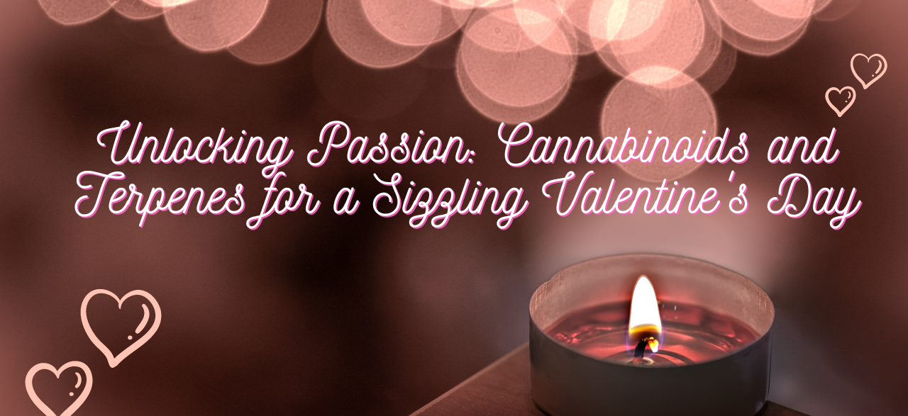 A candle sits on the edge of a table setting a romantic mood for a cannabis valentine’s day. Hearts can be seen on the edges of the image and text reads: Unlocking passion: cannabinoids and terpenes for a sizzling valentine’s day.