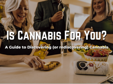 cannabis for adults guide to learning about cannabis