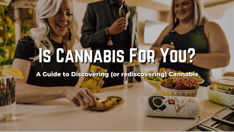 cannabis for adults guide to learning about cannabis