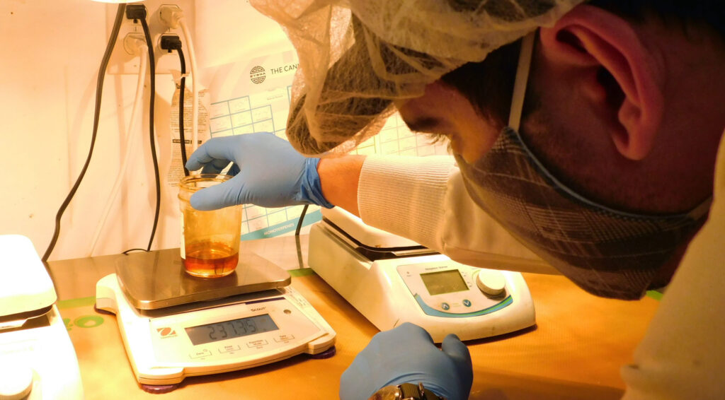 a lab tech examines a jar of cannabis distillate created through molecular distillation