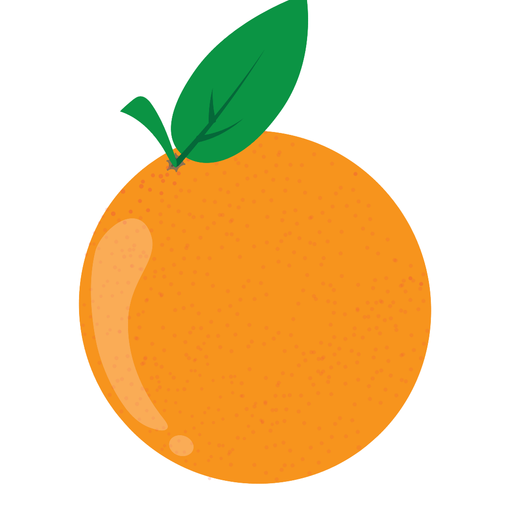 orange icon (2)