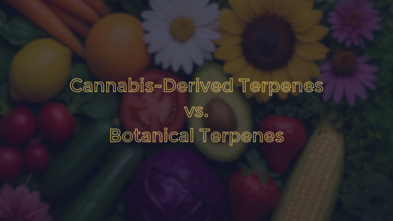 Botanical terpenes vs cannabis derived terpenes blog