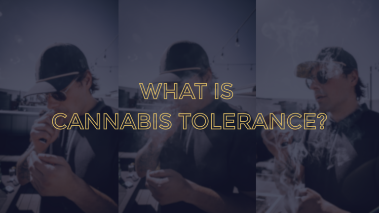 What is cannabis tolerance? The Clear Brands educational blog post