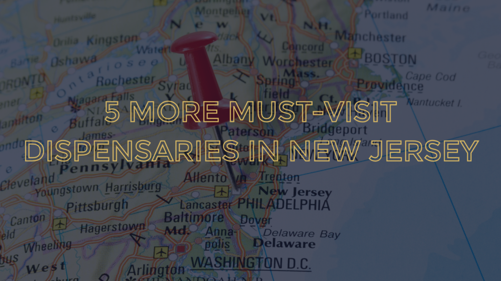 5 more must-visit dispensaries in New Jersey blog by The CLEAR brands